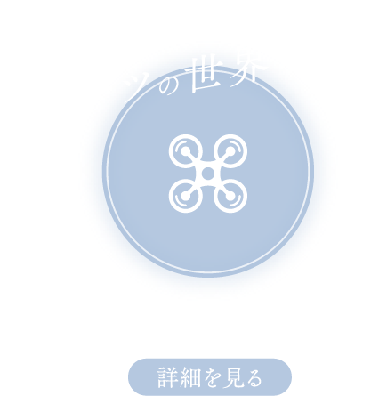 スポーツの世界 ドローンサッカー